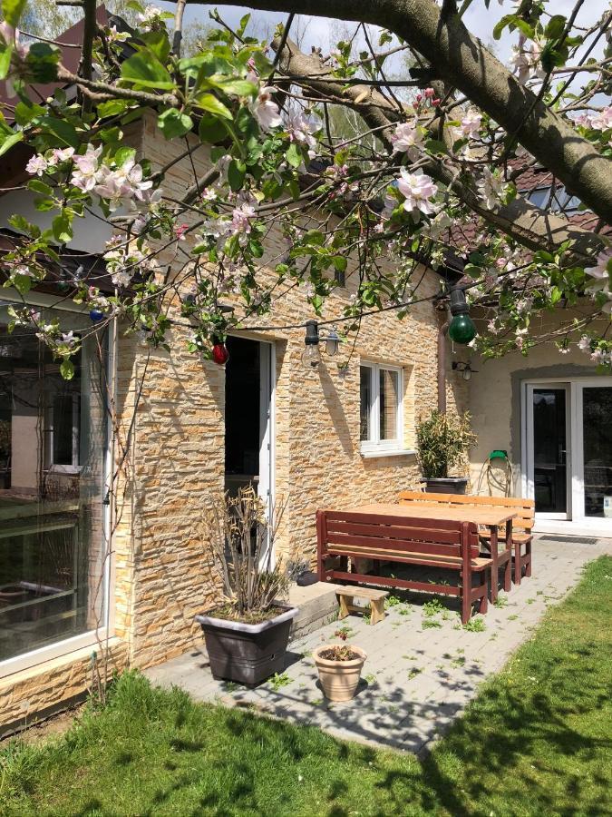 Apartman Marmelada Ctyrkoly Экстерьер фото
