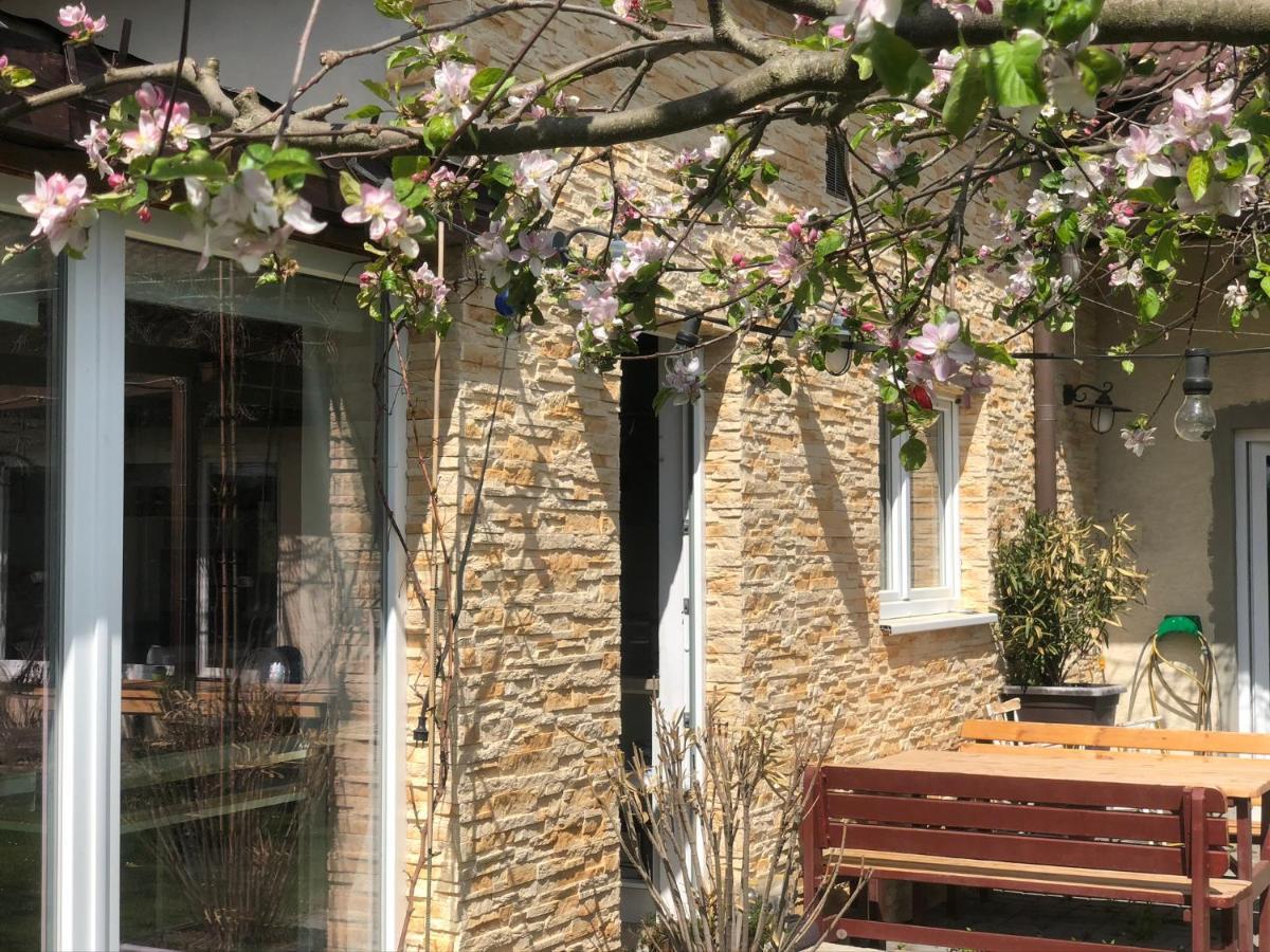 Apartman Marmelada Ctyrkoly Экстерьер фото